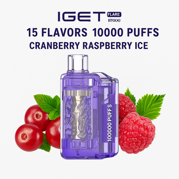 IGET FLARE B10000 – 10000 Puffs